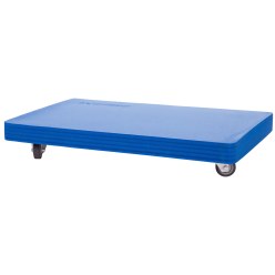  Sport-Thieme "Soft" Roller Board