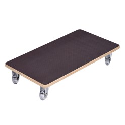  Sport-Thieme "All-Terrain" Roller Board
