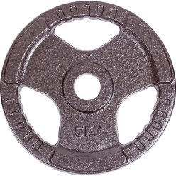  Sport-Thieme Competition Cast Iron Weight Disc