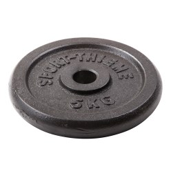  Sport-Thieme Cast Iron Weight Plate