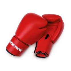  Sport-Thieme "Workout" Boxing Gloves