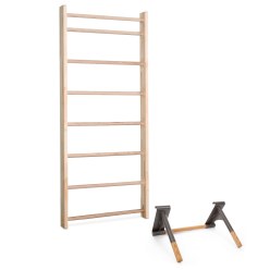 Sport-Thieme Wall Bars with Pull-Up Bar and Dip Station