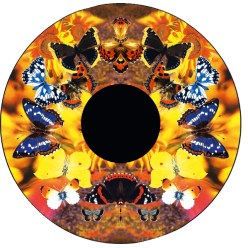  Opti Kinetics "Butterflies" Effect Wheel
