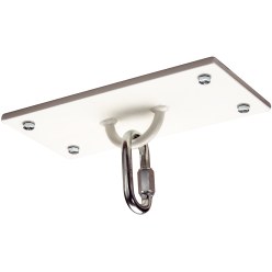  Sport-Thieme for Swing Mounting Ceiling Mount