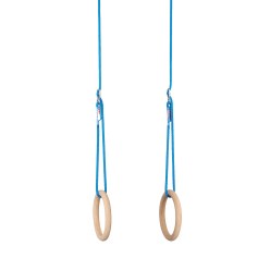  Sport-Thieme Ring Swing Set for Indoor Use