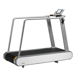  Emotion Fitness "Motion Sprint 600" Treadmill