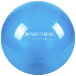  Sport-Thieme Fitness Ball