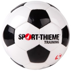 Sport-Thieme "Training" Football