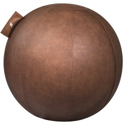  Stryve Exercise Ball