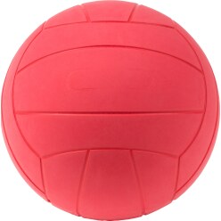  WV Goalball with Bell