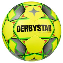 Derbystar "Basic Pro" Futsal Ball