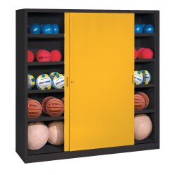 Type 4 Ball Cabinet (195×150×50cm)