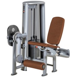 Sport-Thieme "OV" Leg Extension Machine