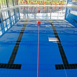  Sport-Thieme "Professional" Pool Lane Divider