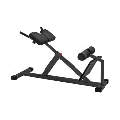  Sport-Thieme "MED" Back Extension Bench