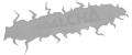 Goalcha
